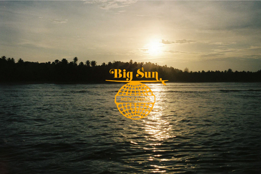 TOURISTS: MENTAWAI ISLANDS