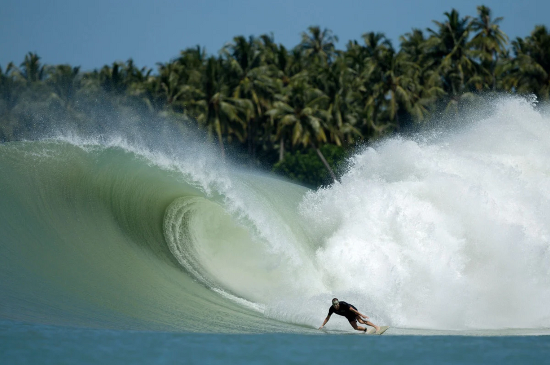 Board Talk: Is The Fish Surfing’s Most Misunderstood Design?