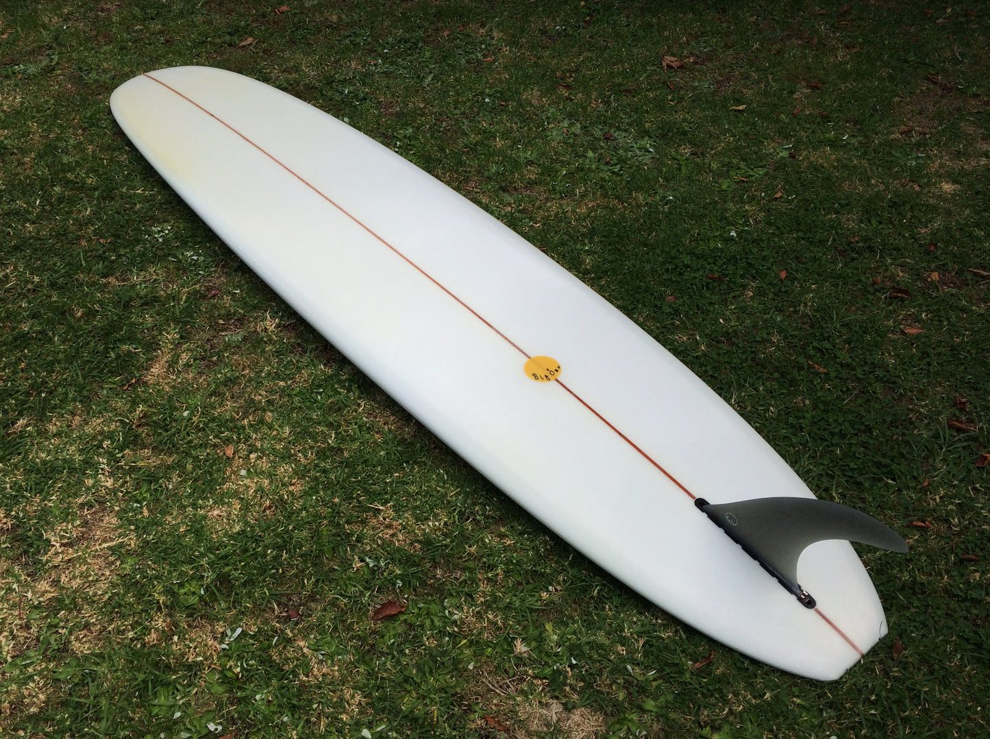 Used Big Hotdogger - 9'2 Semi Gloss Cedar Stringer